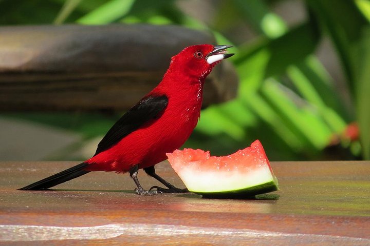Mãe Tereza Ecological Park | A peaceful paradise, perfect for relaxing!