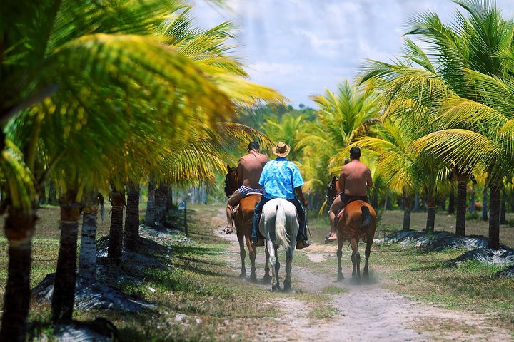 Mãe Tereza Ecological Park | A peaceful paradise, perfect for relaxing!
