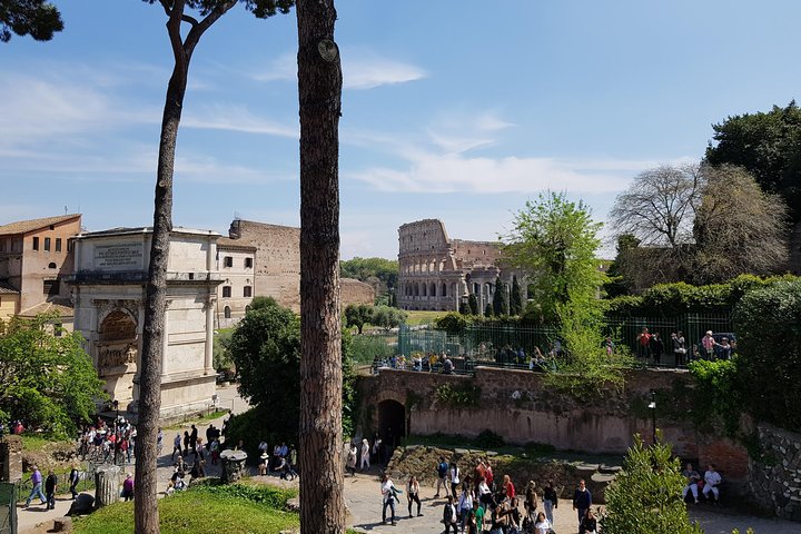 Colosseum Arena Floor, Roman Forum and Palatine Hill Tour