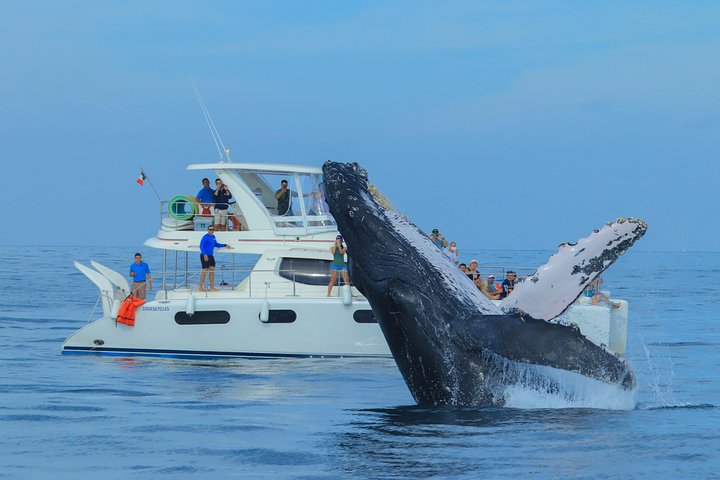 Puerto Vallarta Luxury Yacht Tour: Snorkeling, Open Bar and Lunch