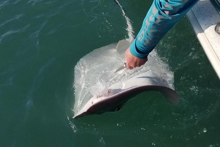 Cape Canaveral Inshore Fishing Charter