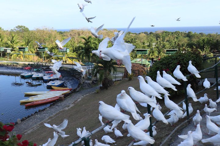 Garinfarm Pilgrimage Resort Land Transfer (ROUNDTRIP)