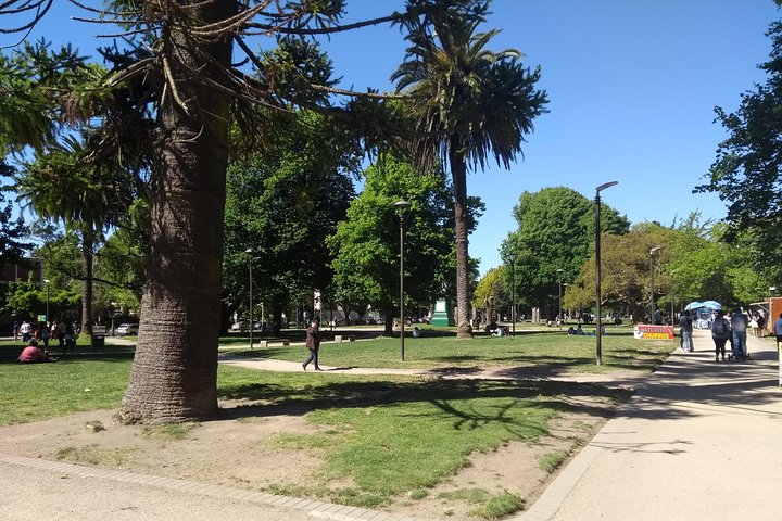 City Tour around Concepción