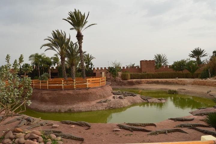 Agadir 3-in-1 Tour: Goats on Trees Souk El Had Crocoparc Tickets