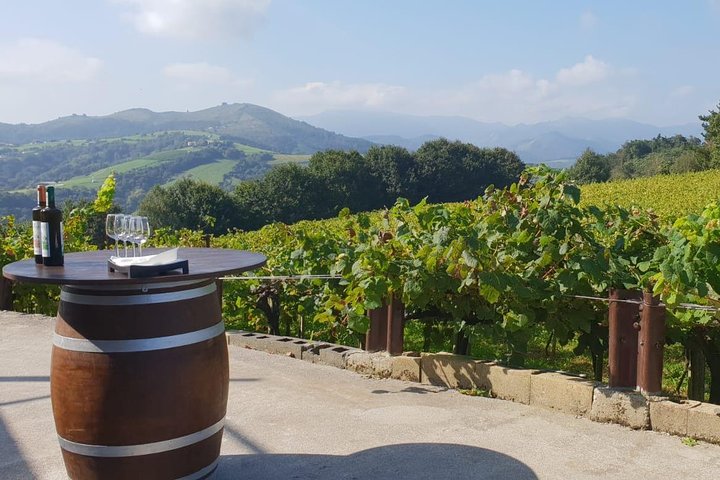 Getaria Txakoli wine tour from San Sebastian