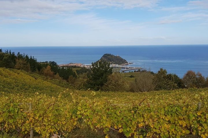 Getaria Txakoli wine tour from San Sebastian