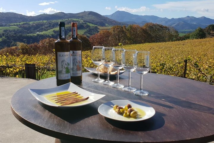 Getaria Txakoli wine tour from San Sebastian