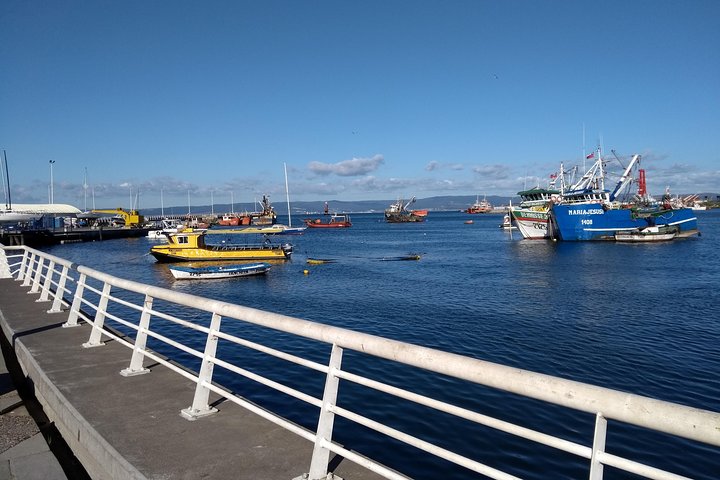 Tour around the Greater Concepcion