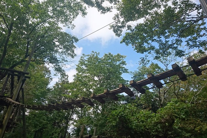 Aerial athletics (Zipline adventure)