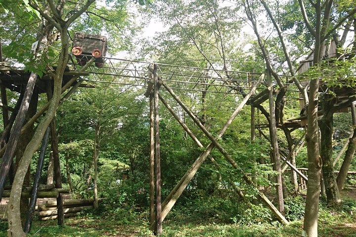 Aerial athletics (Zipline adventure)