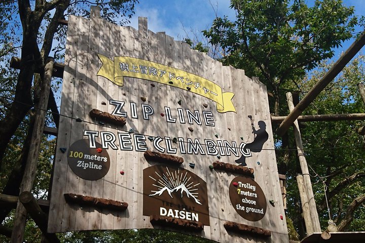 Aerial athletics (Zipline adventure)