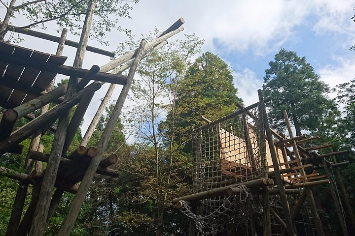 Aerial athletics (Zipline adventure)