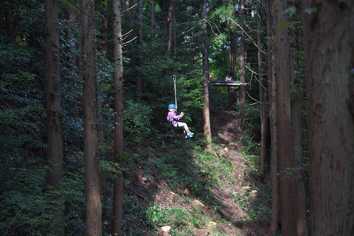 Aerial athletics (Zipline adventure)
