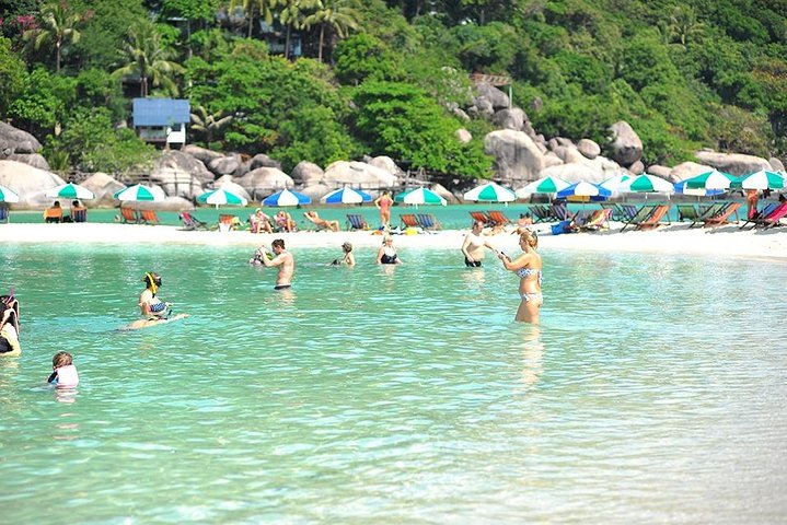 Koh Tao and Koh Nang Yuan Speedboat Tour from Koh Phangan