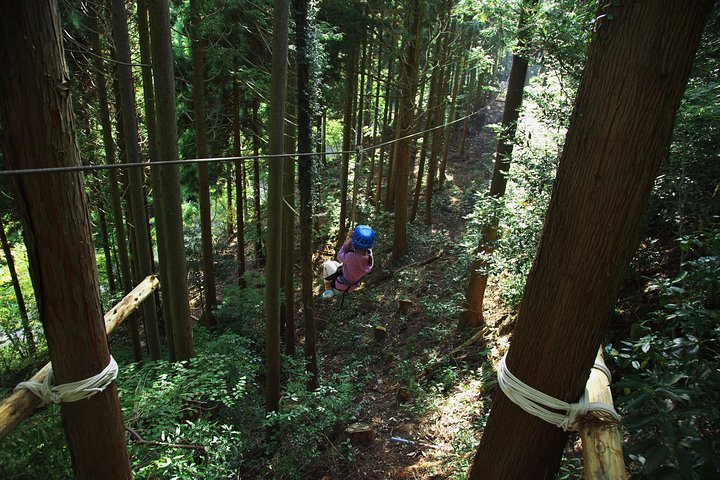 Aerial athletics (Zipline adventure)