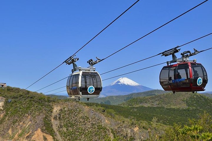 Mt Fuji and Hakone 1-Day Bus Tour Return by Bullet Train