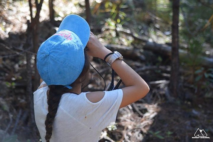 La Pirámide Park // WALK, OBSERVE AND LISTEN TO THE BIRDS