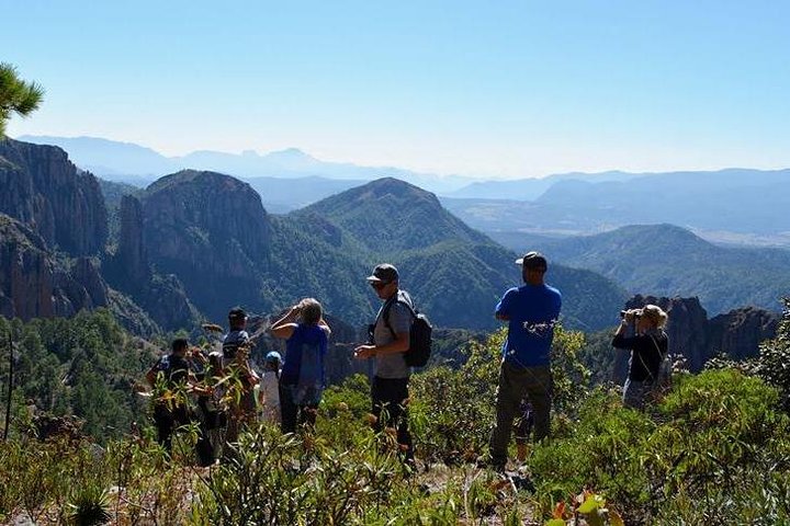 La Pirámide Park // WALK, OBSERVE AND LISTEN TO THE BIRDS