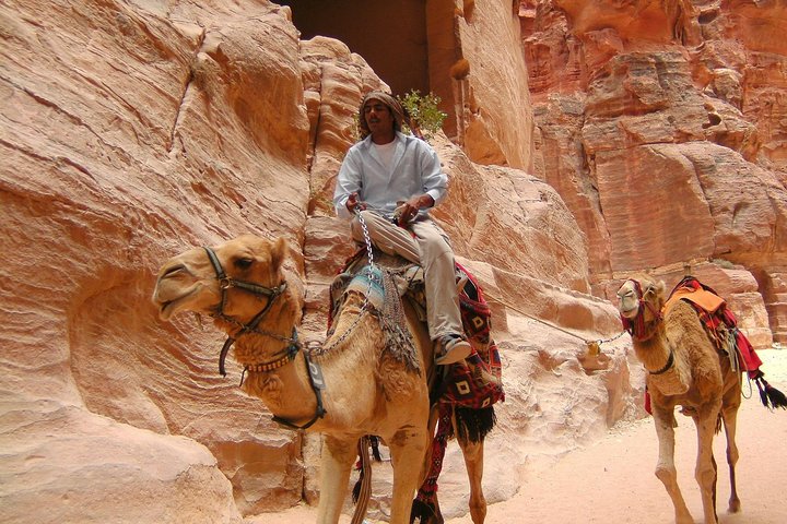 Aqaba Shore Excursion: Private Petra Sightseeing Tour with Lunch