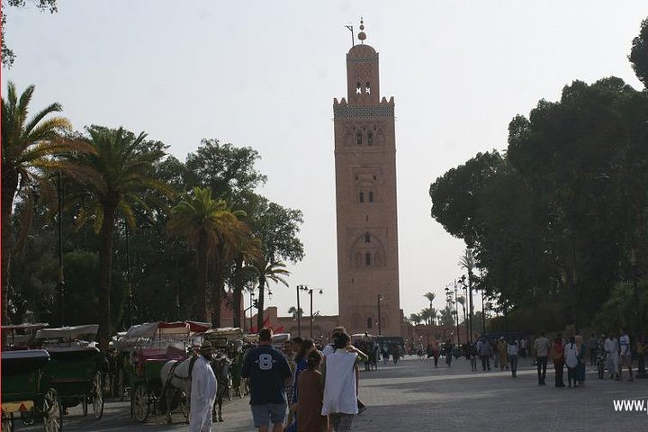 Marrakech Guided Day Trip from Agadir: Medina & Souks Tour