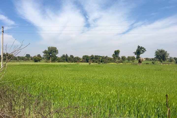Raneh waterfall Khajuraho (motorcycle tour)