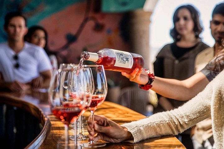 Wine tasting Valle de Guadalupe & Casa Frida