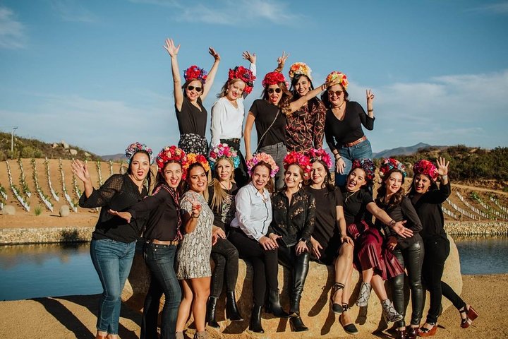 Wine tasting Valle de Guadalupe & Casa Frida