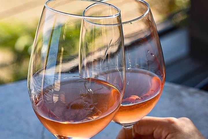 Wine tasting Valle de Guadalupe & Casa Frida