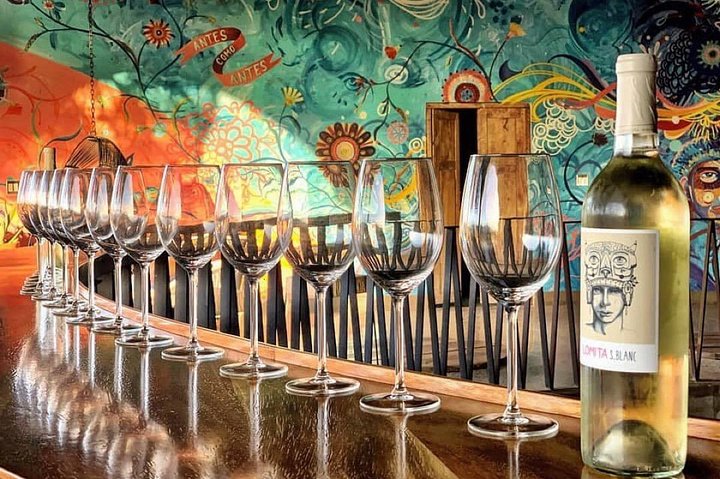 Wine tasting Valle de Guadalupe & Casa Frida