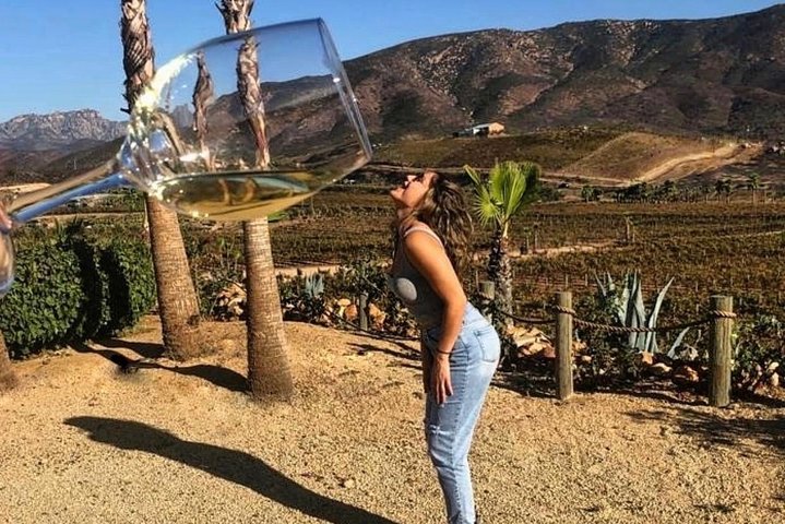 Wine tasting Valle de Guadalupe & Casa Frida