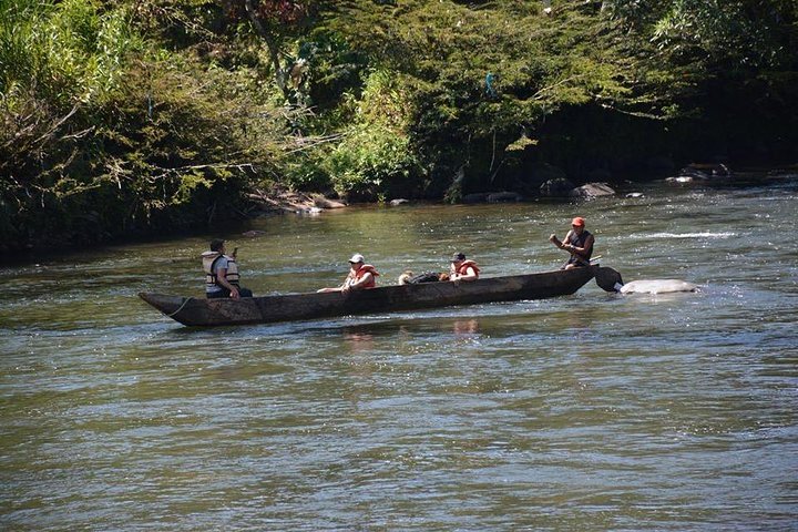 One day tour in the jungle. all inclusive.