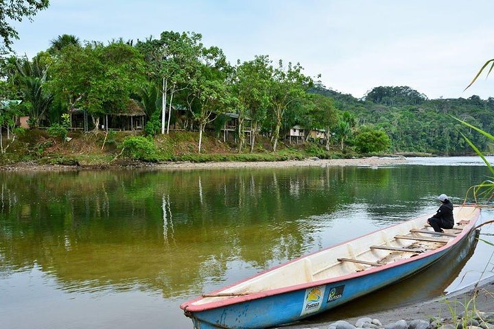 One day tour in the jungle. all inclusive.