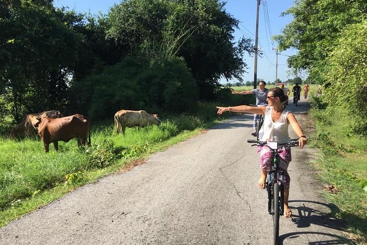 Full Day Cycling tour to Sukhothai Historical Park