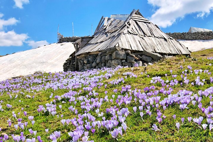 North Montenegro, Durmitor, Tara & Ostrog Tour
