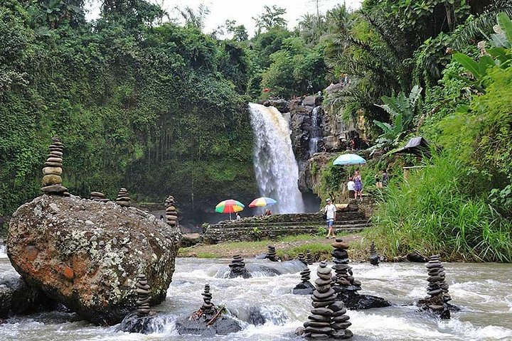 Ubud: Monkey Forest, Jungle Swing, Rice Terrace and Water Temple