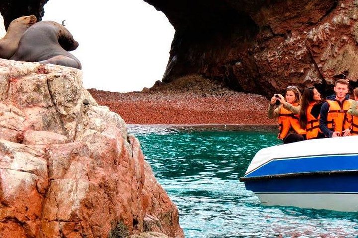 BALLESTAS ISLANDS + Paracas and Candelabra Reserve – Ica and Paracas