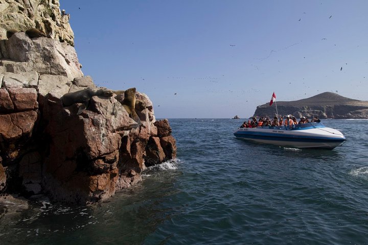 BALLESTAS ISLANDS + Paracas and Candelabra Reserve – Ica and Paracas