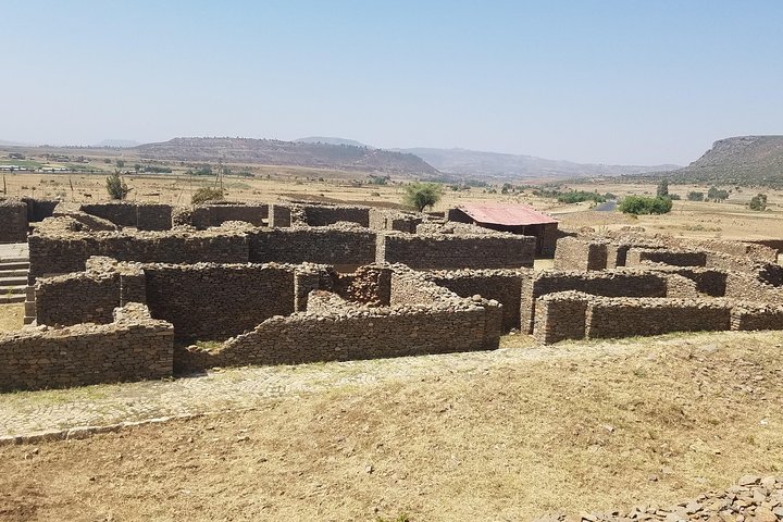 Axum : tall, carved obelisks, relics of the ancient Kingdom of Aksum.