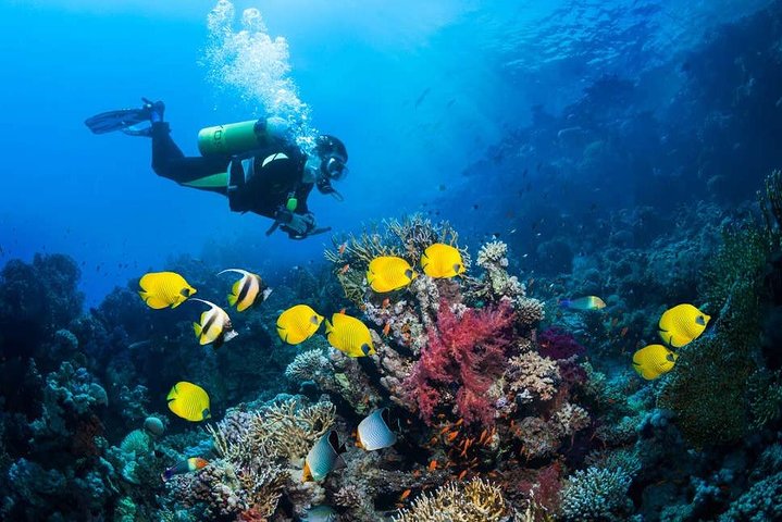 Tulamben Diving USS Liberty Shipwreck Scuba Dive