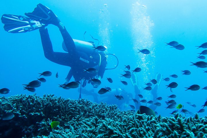 Tulamben Diving USS Liberty Shipwreck Scuba Dive