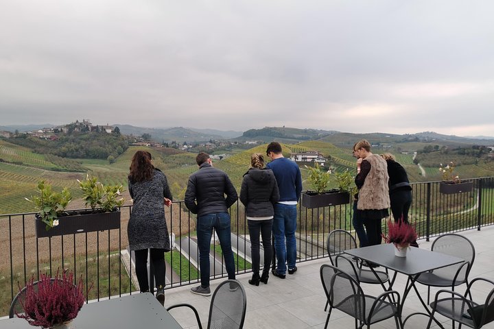 Barolo&Barbaresco Wine Experience with a local winemaker