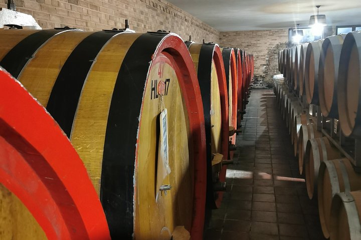 Barolo&Barbaresco Wine Experience with a local winemaker