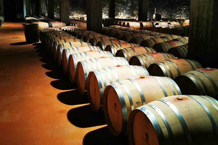 Barolo&Barbaresco Wine Experience with a local winemaker