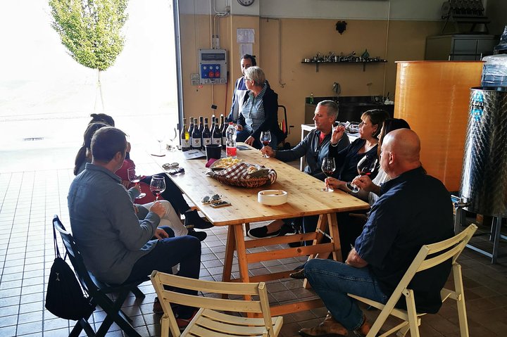Barolo&Barbaresco Wine Experience with a local winemaker