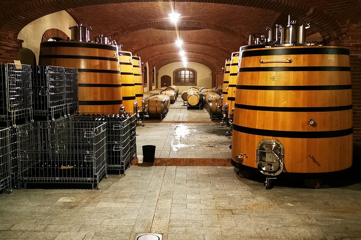 Barolo&Barbaresco Wine Experience with a local winemaker