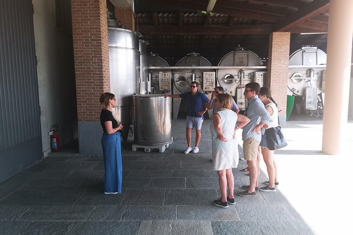 Barolo&Barbaresco Wine Experience with a local winemaker