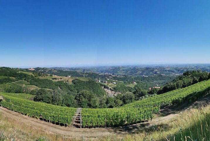 Barolo&Barbaresco Wine Experience with a local winemaker