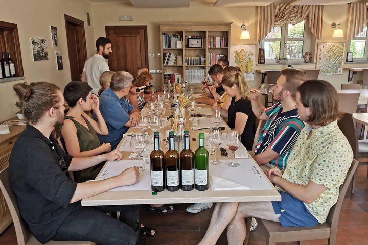 Barolo&Barbaresco Wine Experience with a local winemaker