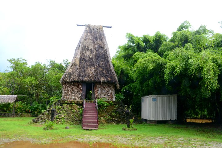 Port of Suva - Private Tour