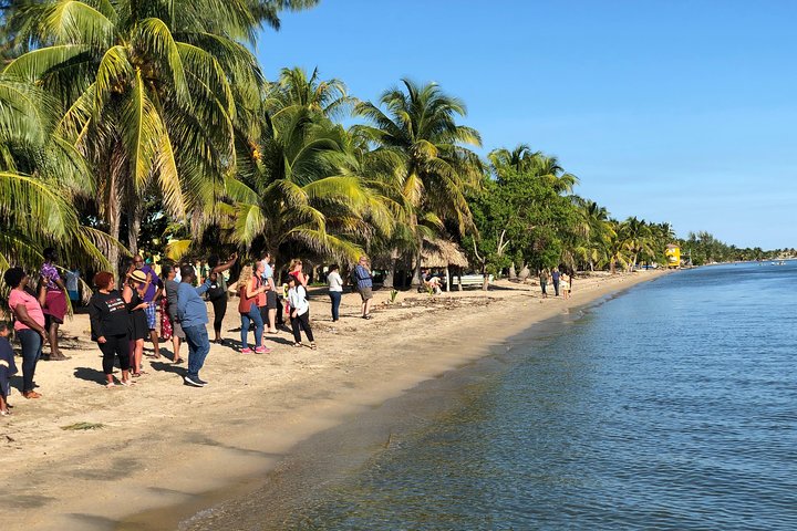 Dangriga Airport To Hopkins Village